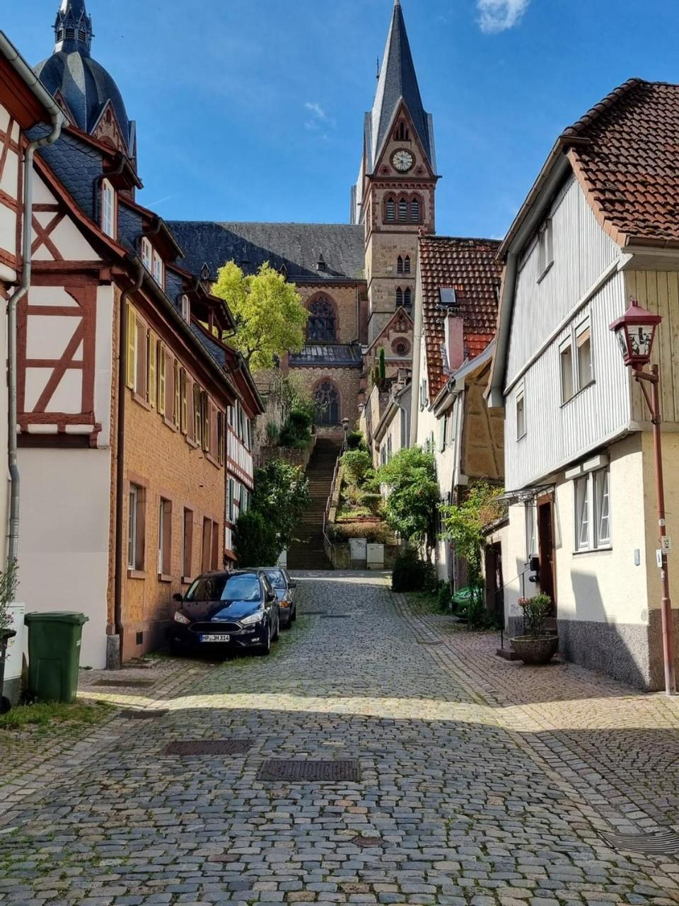 Ferienwohnung Heppenheim An Der Bergstrasse Whg 1 Ngoại thất bức ảnh